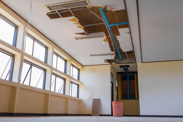Best Carpet water damage restoration  in Dana Point, CA