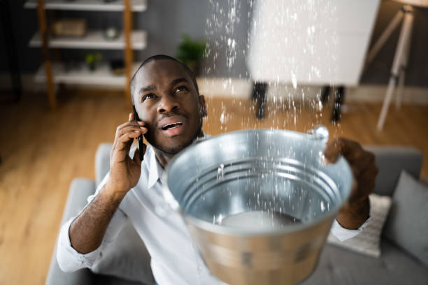 Best Commercial water damage restoration  in Dana Point, CA