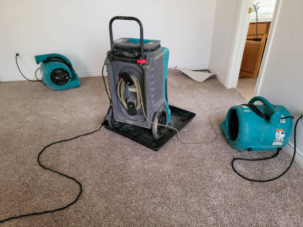 Best Water damage repair service  in Dana Point, CA