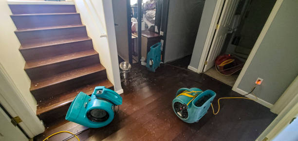 Best Flood restoration services  in Dana Point, CA