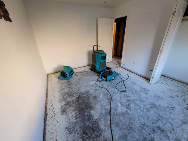 Water damage restoration process in Dana Point, CA