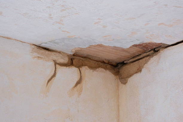 Best 24/7 water damage repair  in Dana Point, CA