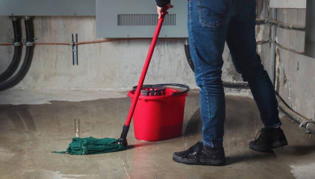 Best Fire Damage Restoration  in Dana Point, CA
