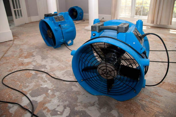 Best Water damage restoration near me  in Dana Point, CA