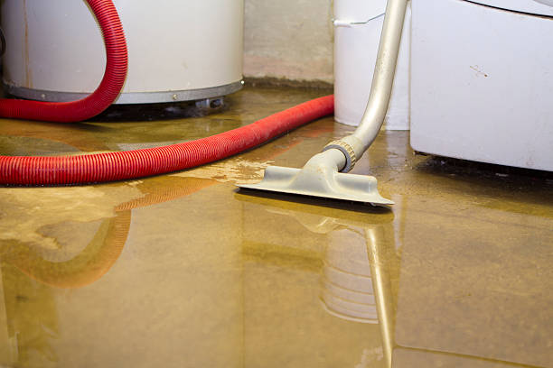 Best Water damage restoration process  in Dana Point, CA