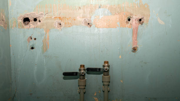 Carpet water damage restoration in Dana Point, CA
