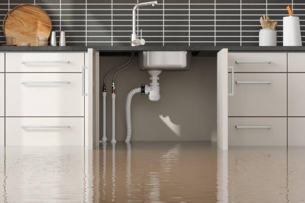 Best Local water damage restoration  in Dana Point, CA