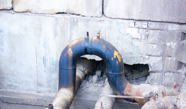 Best Water damage restoration mold remediation  in Dana Point, CA