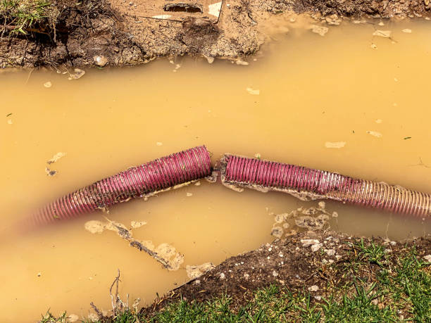 Best 24-hour water damage restoration  in Dana Point, CA