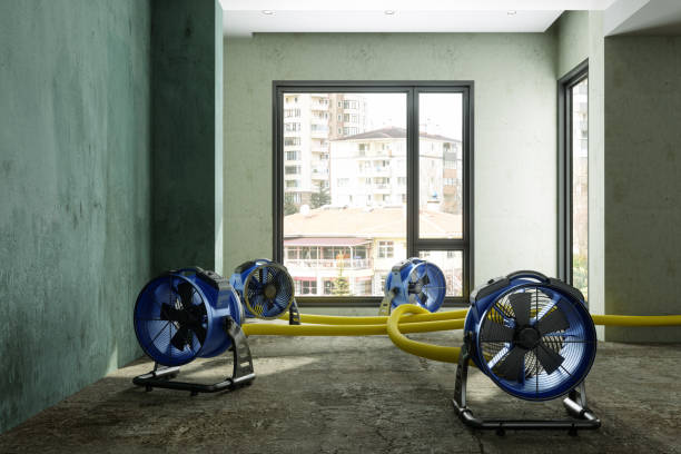 Best Emergency water damage restoration  in Dana Point, CA