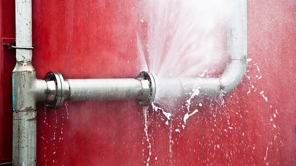 Best Commercial water damage restoration  in Dana Point, CA